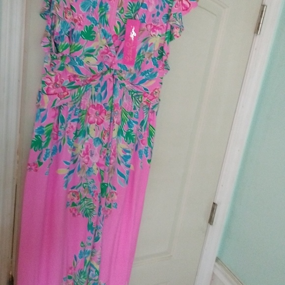 Lilly Pulitzer Maxi Dress - Picture 4 of 5